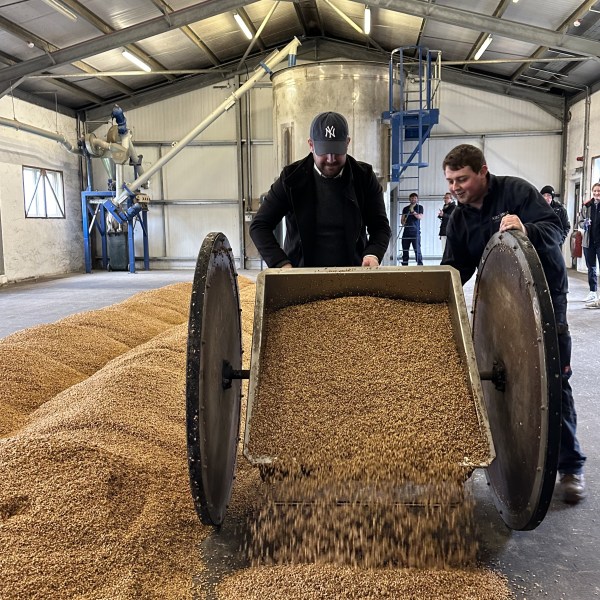 Two people empty grain from a cart in a large industrial warehouse.