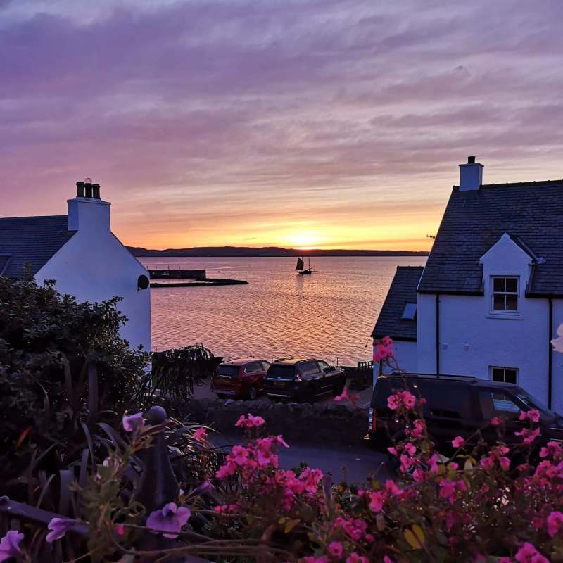 a building with a purple flower