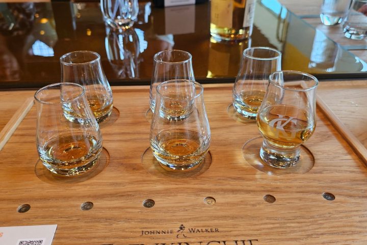 a group of people sitting at a table with wine glasses