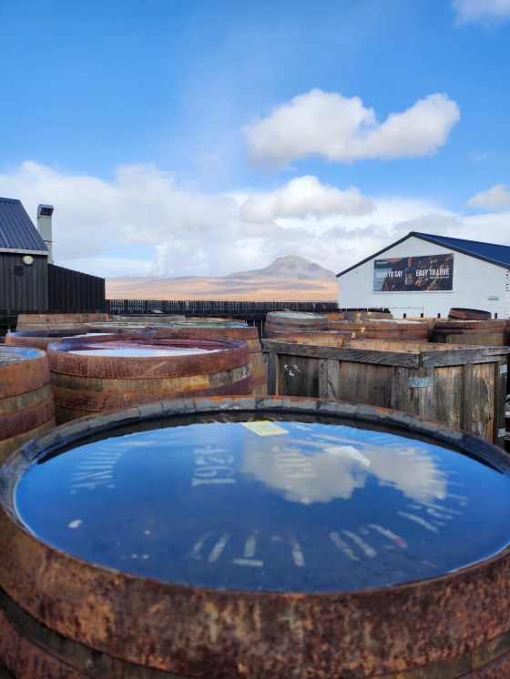 Reflective barrels with a mountain and cloudy sky in the background.